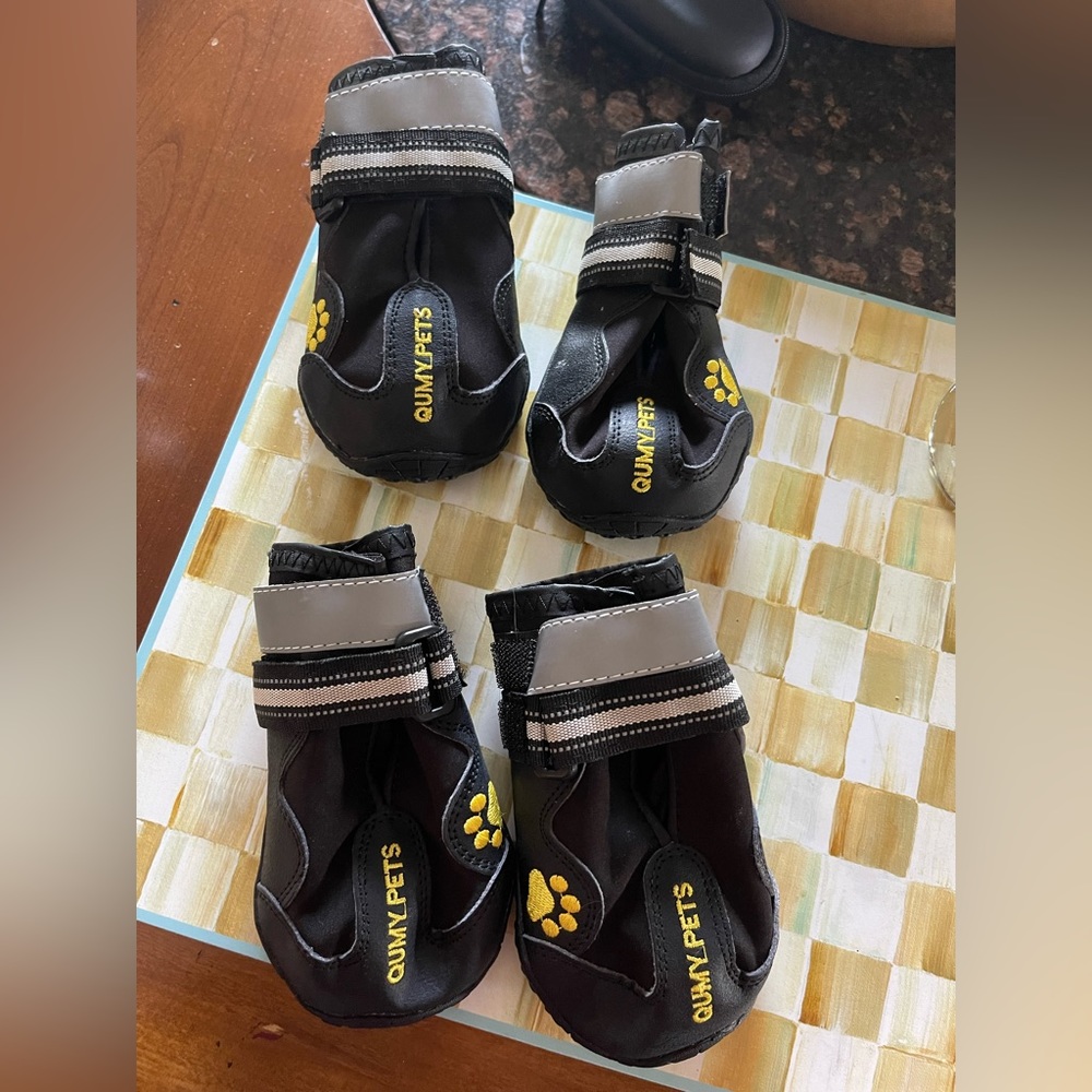 Puppy Shoes
